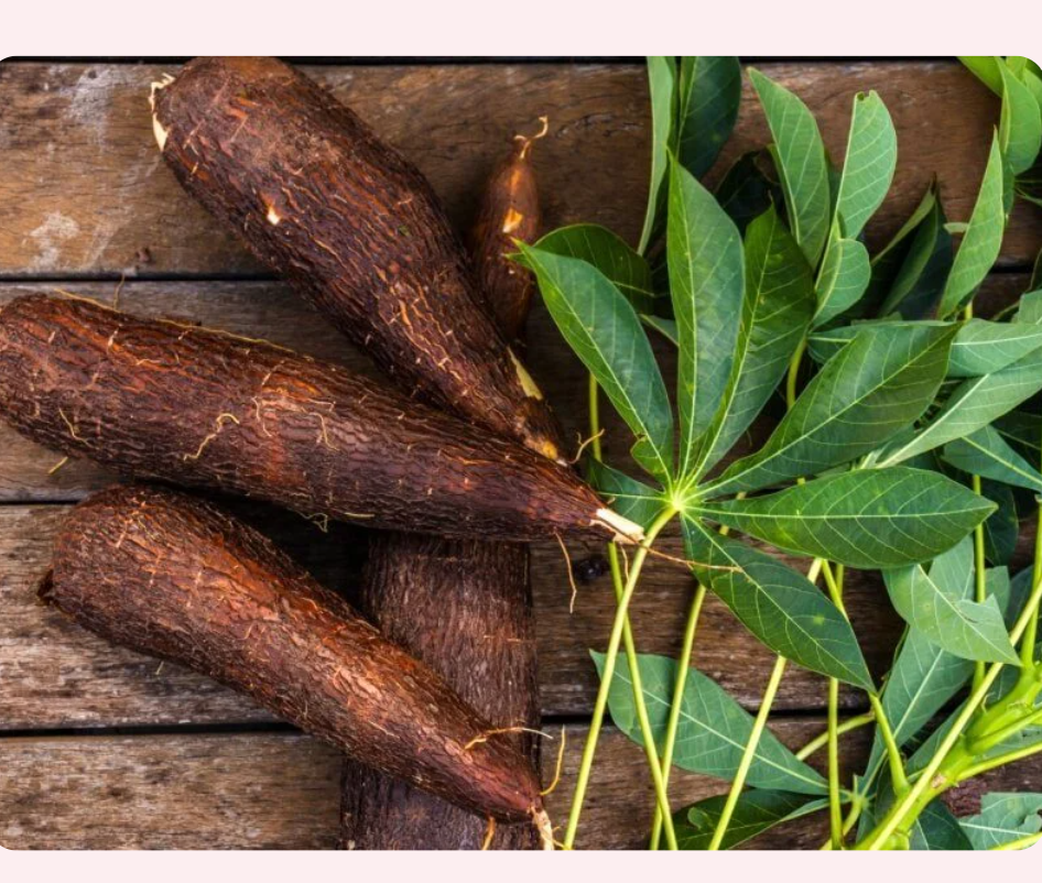Cassava